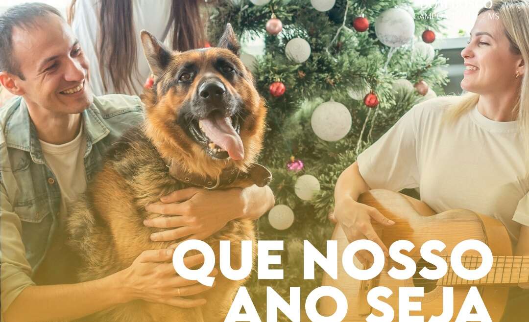 Feliz Ano Novo