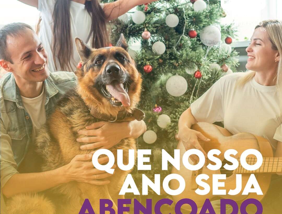 Feliz Ano Novo