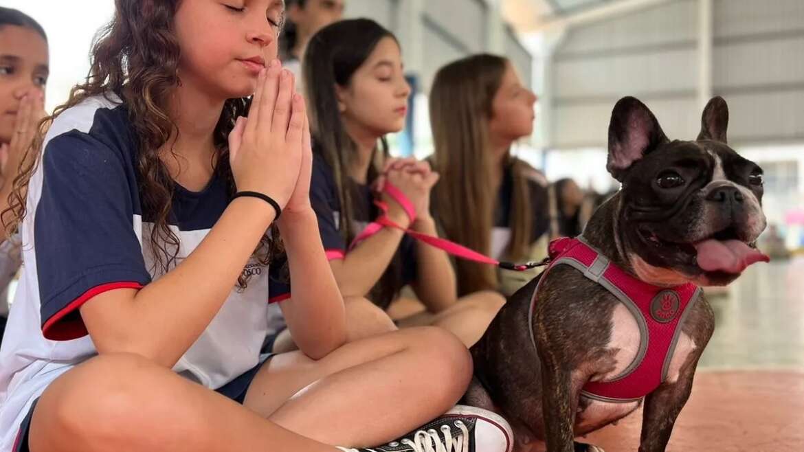 Celebrando a bênção dos nossos fiéis amigos no Colégio Dom Bosco!