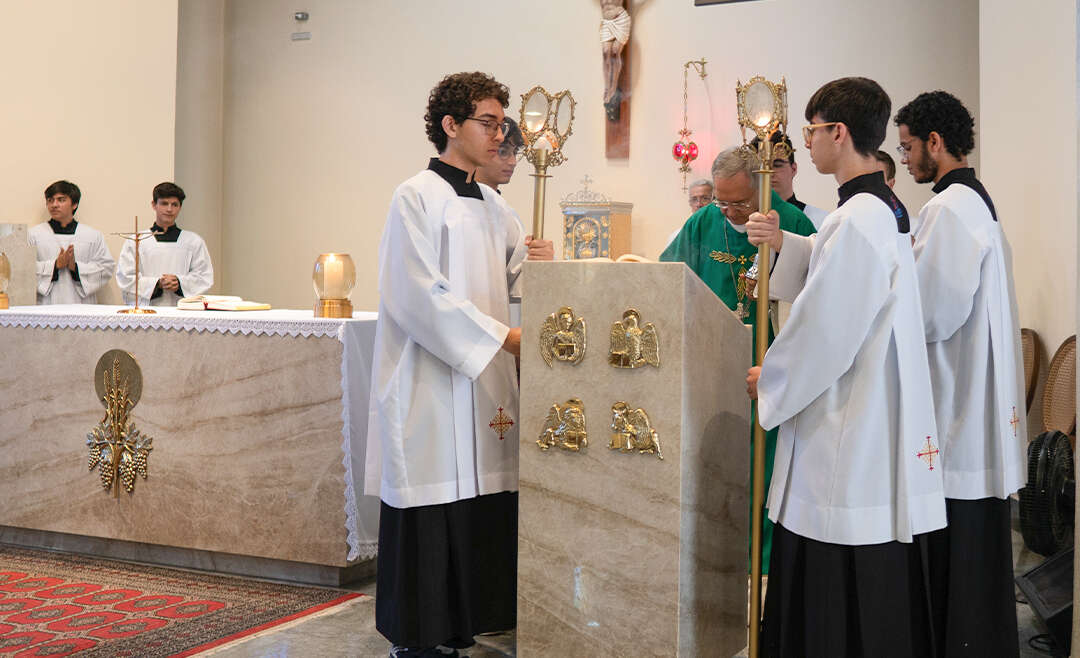 O Ensino Salesiano do Colégio Dom Bosco: onde a educação ganha vida e significado. Uma jornada de aprendizado, valores e crescimento.