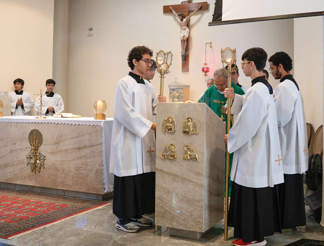 O Ensino Salesiano do Colégio Dom Bosco: onde a educação ganha vida e significado. Uma jornada de aprendizado, valores e crescimento.