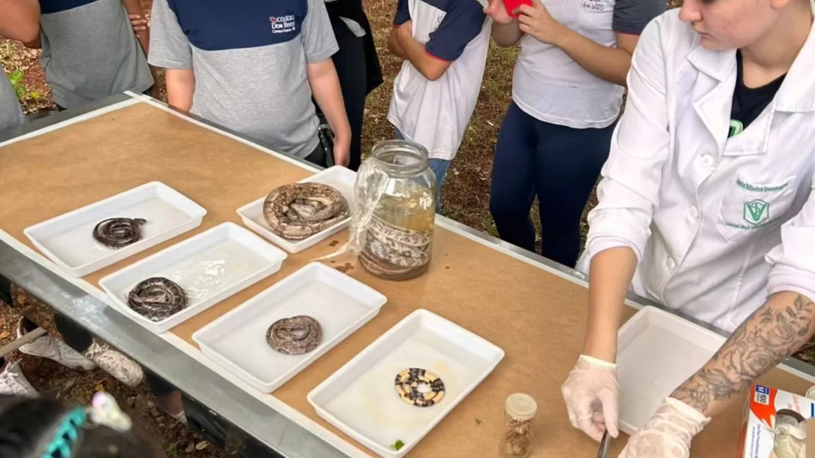 A manhã de hoje foi especial para os alunos do 7° ano. Eles visitaram o Biotério da UCDB